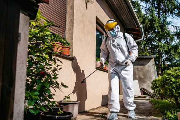 Best Residential Pest Control  in Jasper, TX