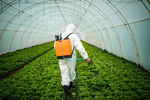 Best Pest Prevention Services  in Jasper, TX