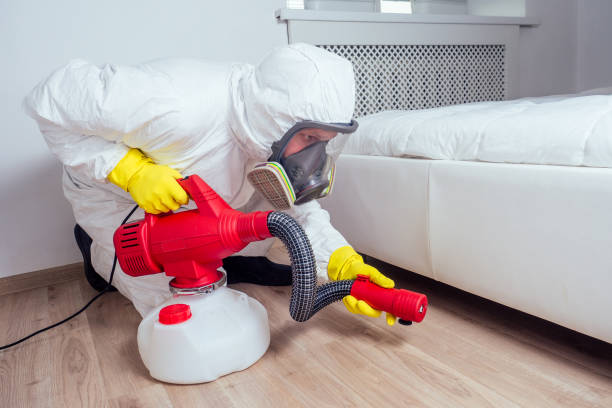 Best Flea Control Services  in Jasper, TX