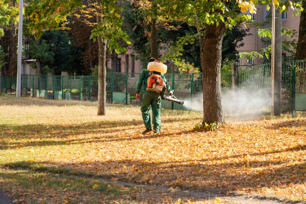 Best Exterminator Services  in Jasper, TX