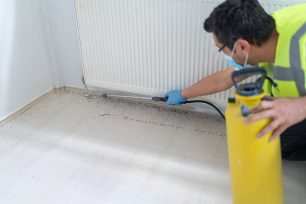 Best Best Pest Control Companies  in Jasper, TX