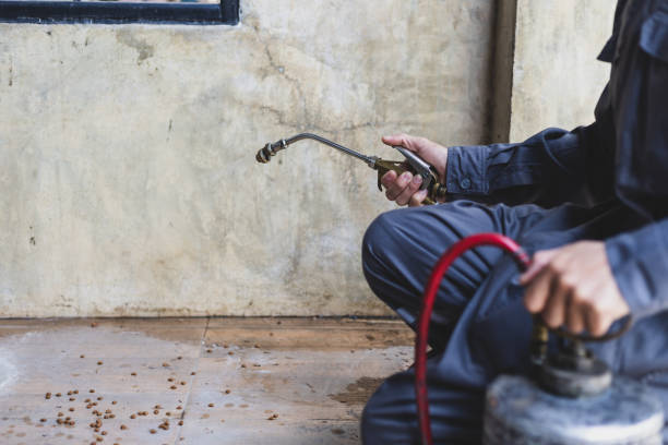 Pest Prevention Services in Jasper, TX